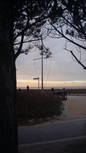 *Strandaster* in Zingst - 100 m bis Strand, ruhig, zentral.